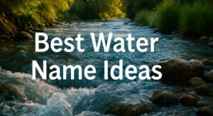 750+ Best Water Name Ideas for Strong Branding and Fresh Creative Inspiration