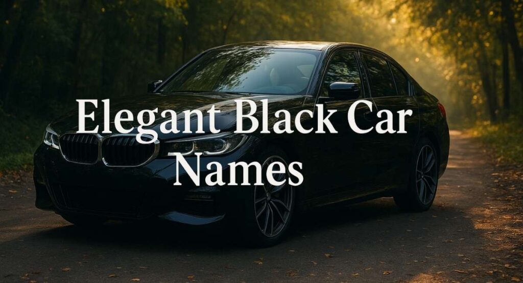 Elegant Black Car Names